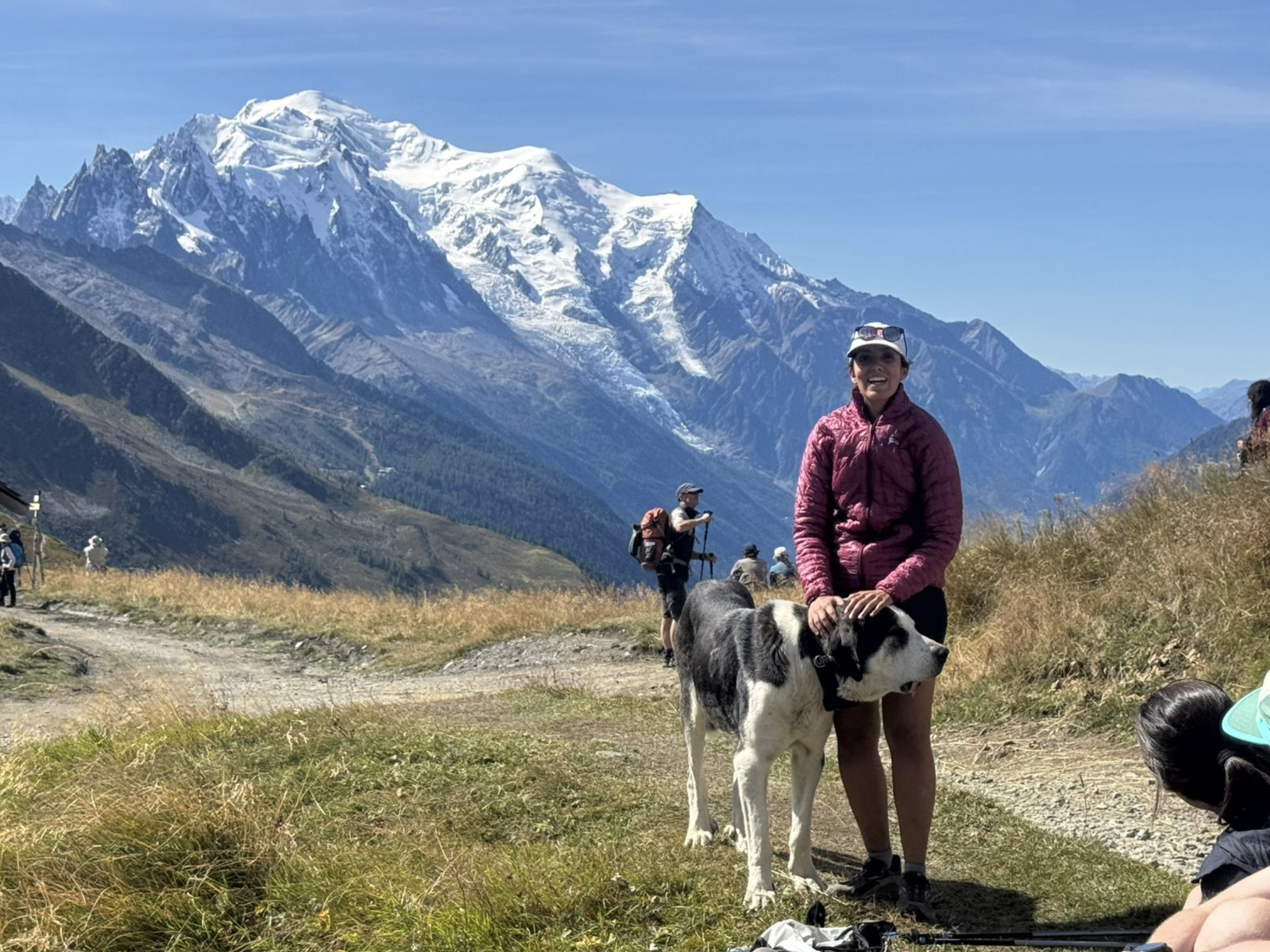 Aishwarya successfully dog-spots.